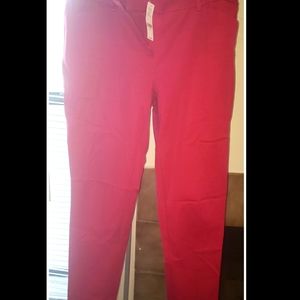 New York & Company sz 12 NWT